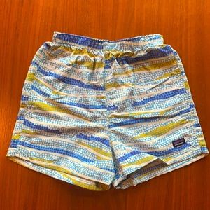 Patagonia Printed Baggie